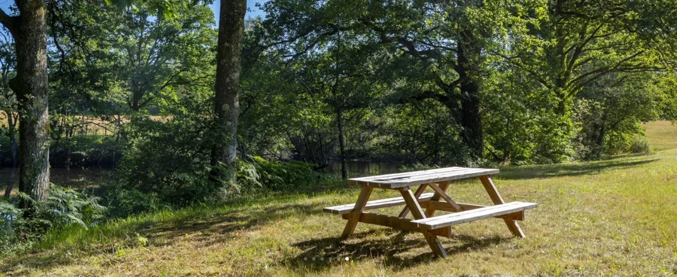 Gîte 8 personnes en Dordogne au bord d'un château avec ses étangs et sa piscine