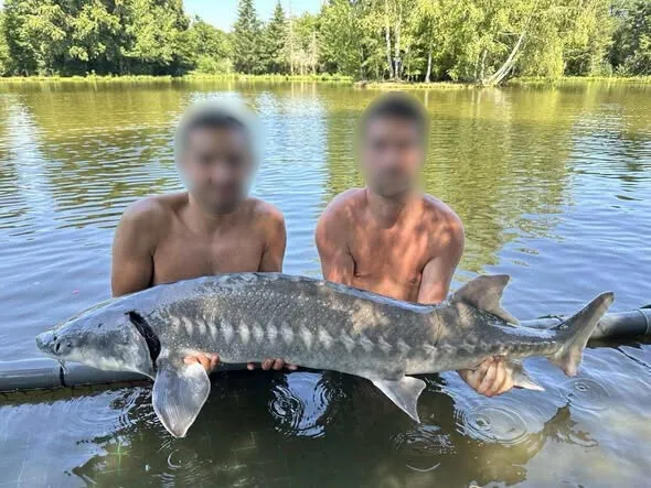 Étang privé de 2,8 hectares avec île – Séjour pêche exclusif en Creuse