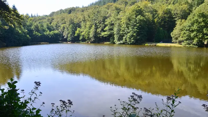Studio au coeur de la nature avec accès à un étang