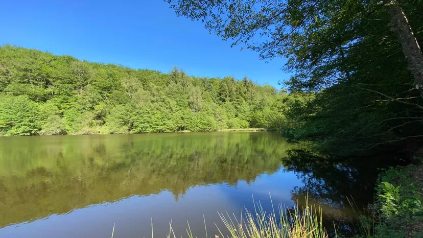 Appartement 2 chambres, étang et balades en forêt privée