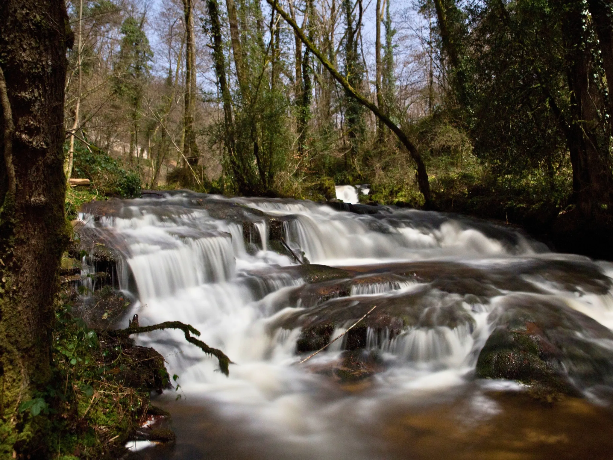 Appartement 2 chambres, étang et balades en forêt privée