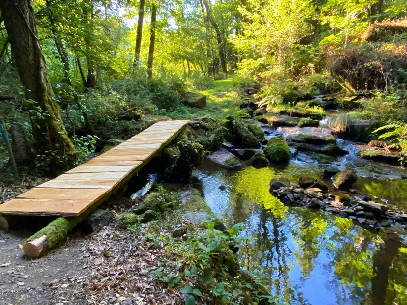 Cabane au bord d’un étang de pêche en pleine forêt