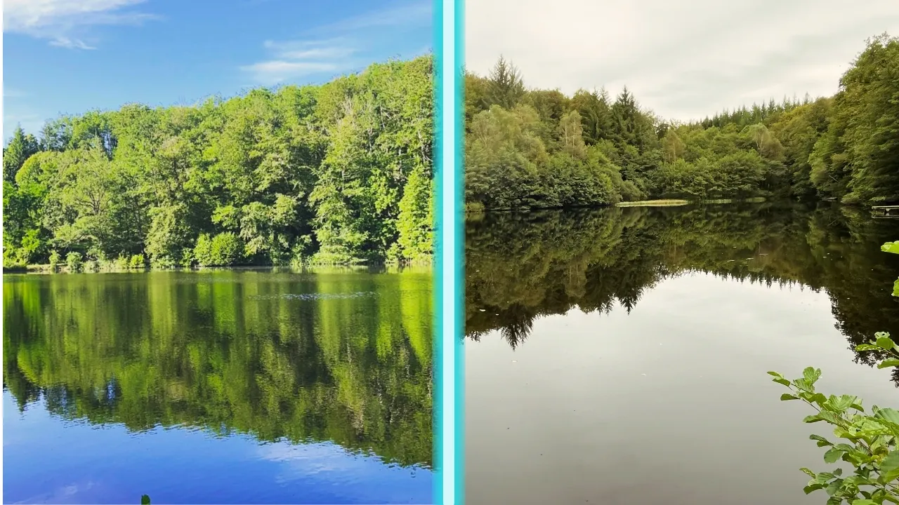 Studio au coeur de la nature avec accès à un étang