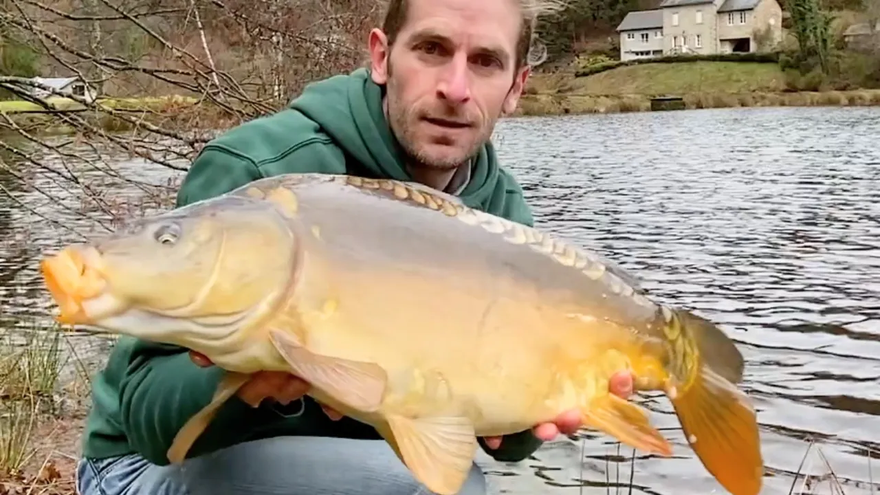 Cabane au bord d’un étang de pêche en pleine forêt