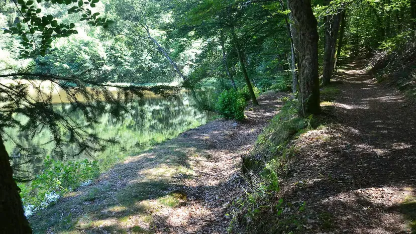 Studio au coeur de la nature avec accès à un étang