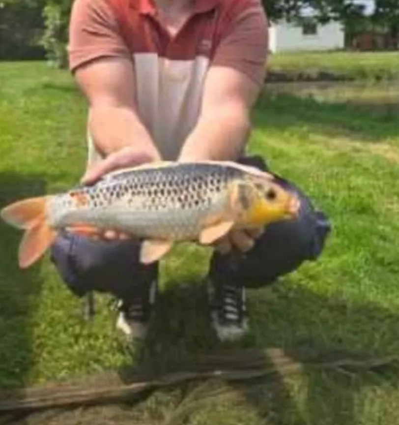 Étang de pêche privé en Maine et Loire – carpes & carnassiers - de 4 à 8 personnes