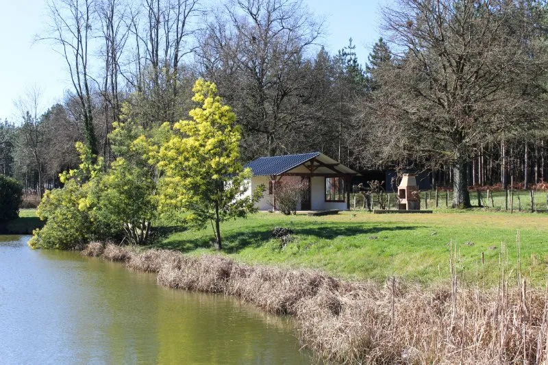 Étang de pêche privé en Maine et Loire – carpes & carnassiers - de 4 à 8 personnes