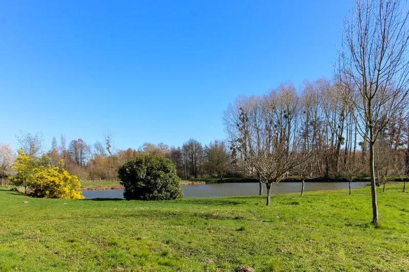 Étang de pêche privé en Maine et Loire – carpes & carnassiers - de 4 à 8 personnes