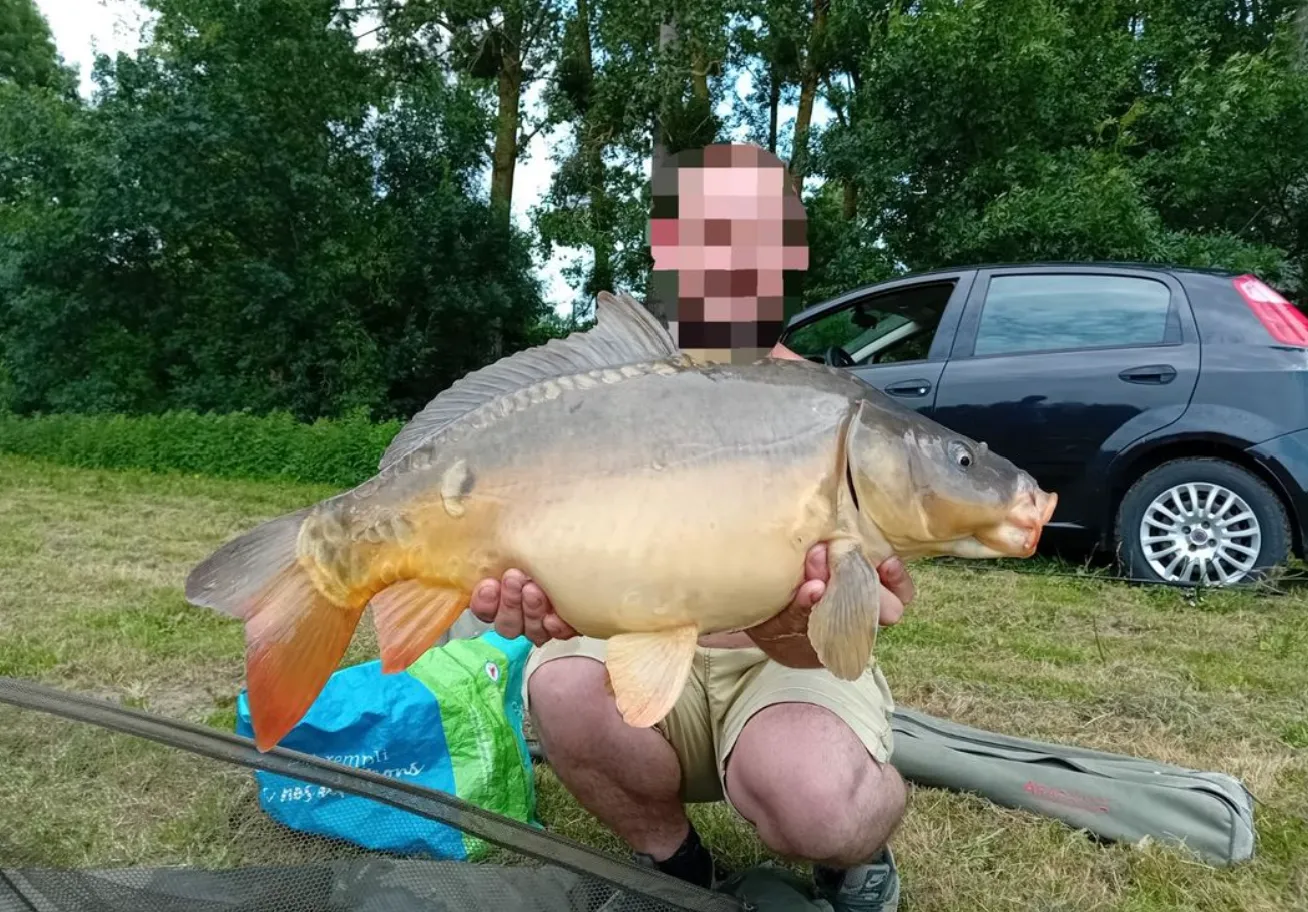 Étang de pêche privé en Maine et Loire – carpes & carnassiers - de 4 à 8 personnes