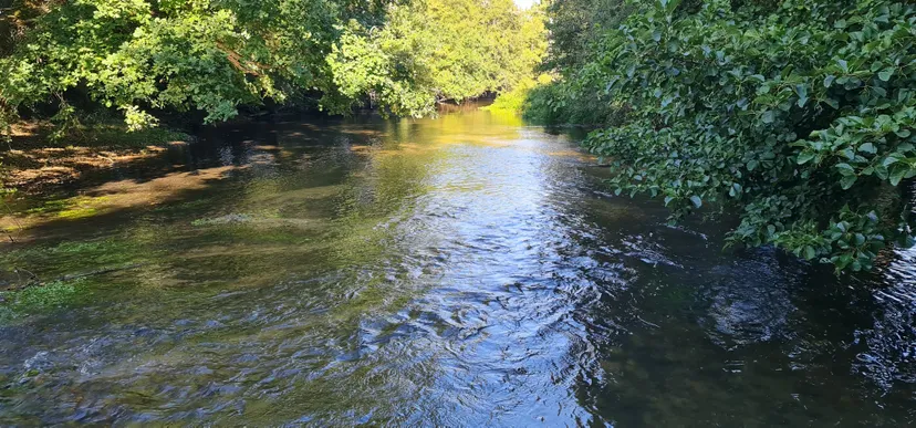 Séjour en Centre-Val de Loire – 5 personnes – Ferme avec accès à étang et rivière