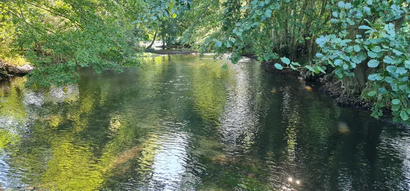 Séjour en Centre-Val de Loire – 5 personnes – Ferme avec accès à étang et rivière