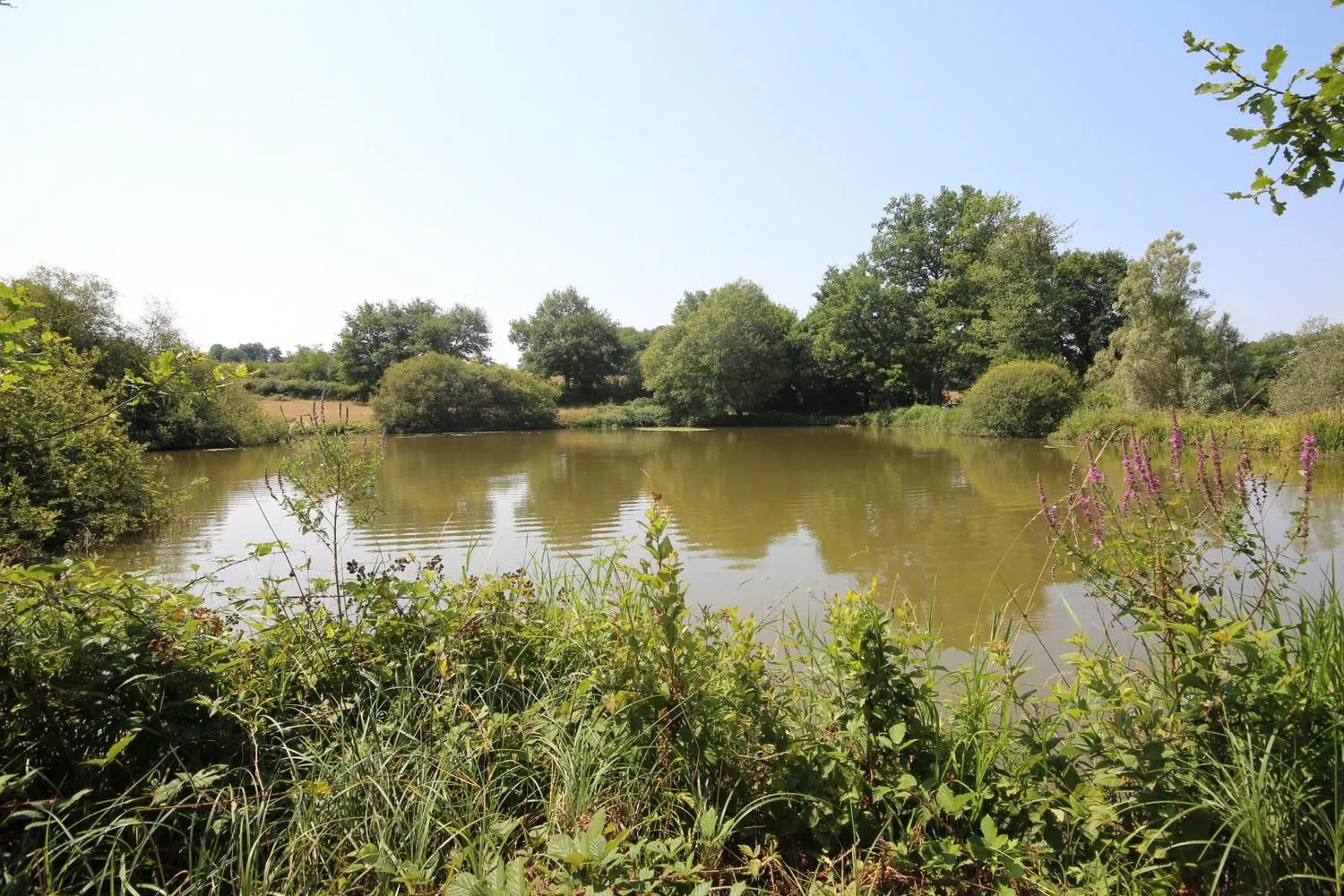 Maison de campagne 7 personnes avec accès aux étangs privés en Bourgogne du Sud