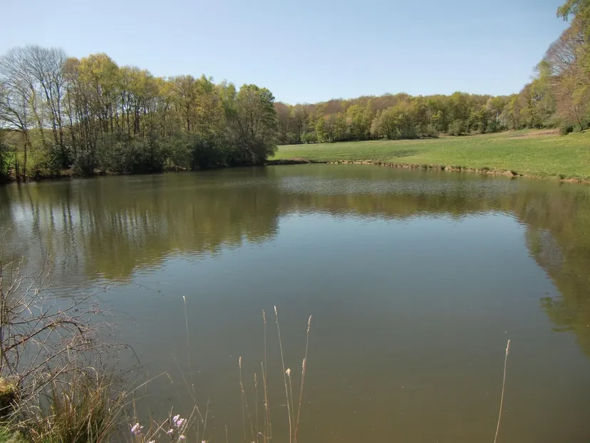 Pêche au cœur du Cantal sur étang sauvage avec chalet