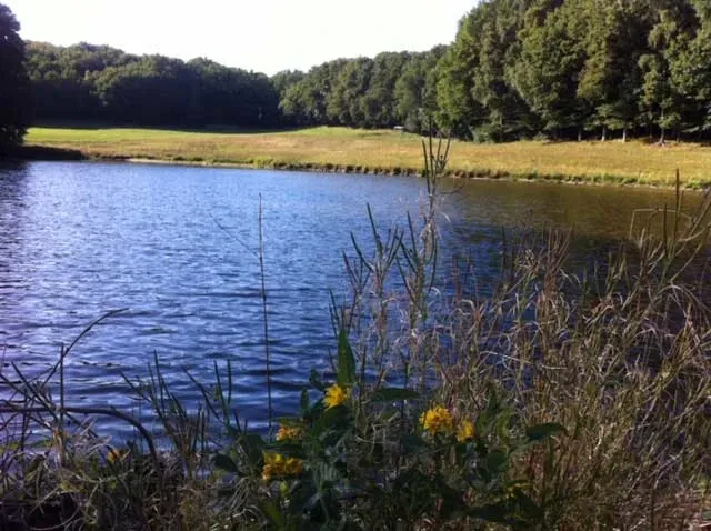 Pêche au cœur du Cantal sur étang sauvage avec chalet
