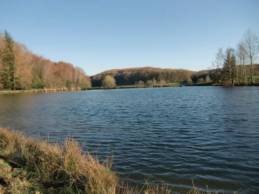 Pêche familial sur étang sauvage avec chalets au cœur du Cantal