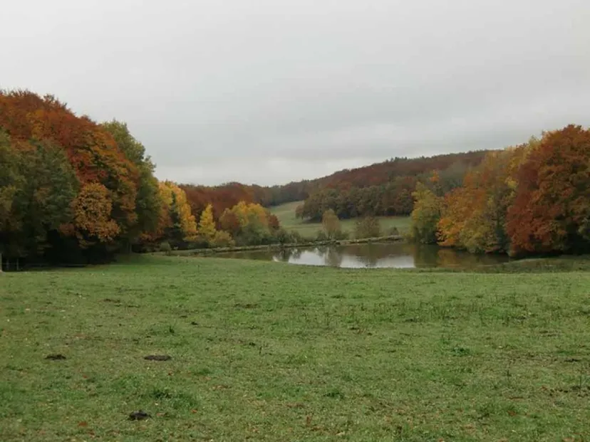 Pêche familial sur étang sauvage avec chalets au cœur du Cantal