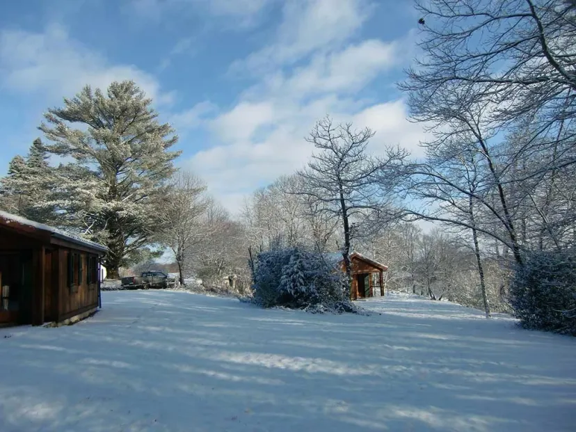 Privatisation de 2 châlets et de l'étang pour une pêche d’exception avec chalets au cœur du Cantal