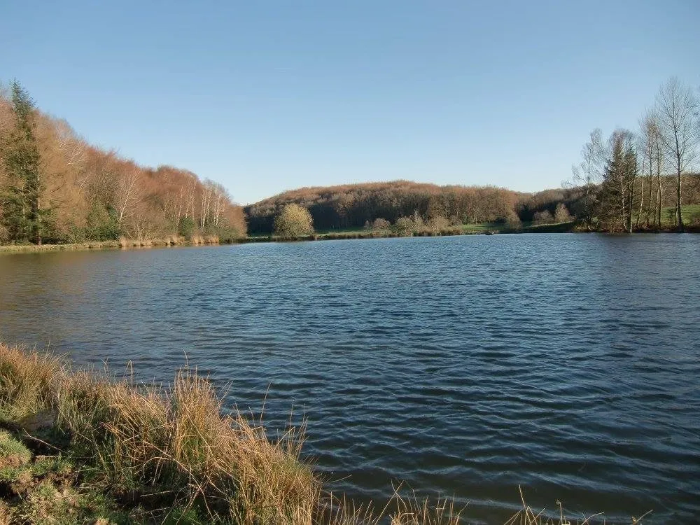 Privatisation de 2 châlets et de l'étang pour une pêche d’exception avec chalets au cœur du Cantal