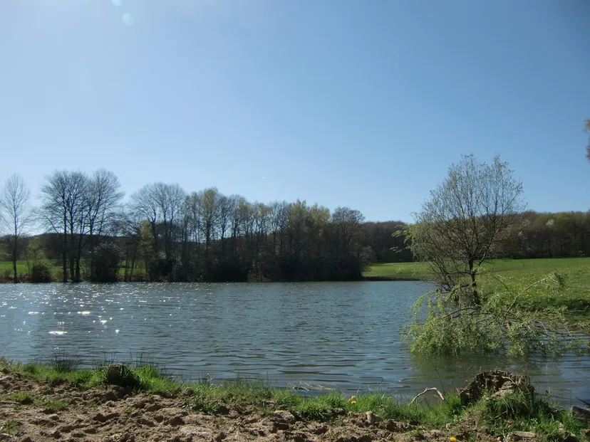 Privatisation de 2 châlets et de l'étang pour une pêche d’exception avec chalets au cœur du Cantal