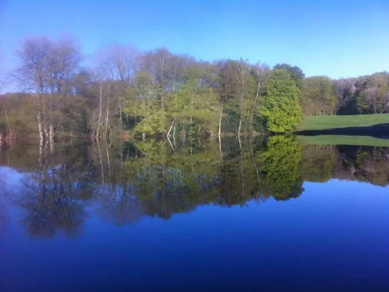 Privatisation de 2 châlets et de l'étang pour une pêche d’exception avec chalets au cœur du Cantal