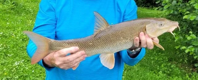 Gîte de pêche au bord de la Dronne à 1h de Bordeaux - côté rivière