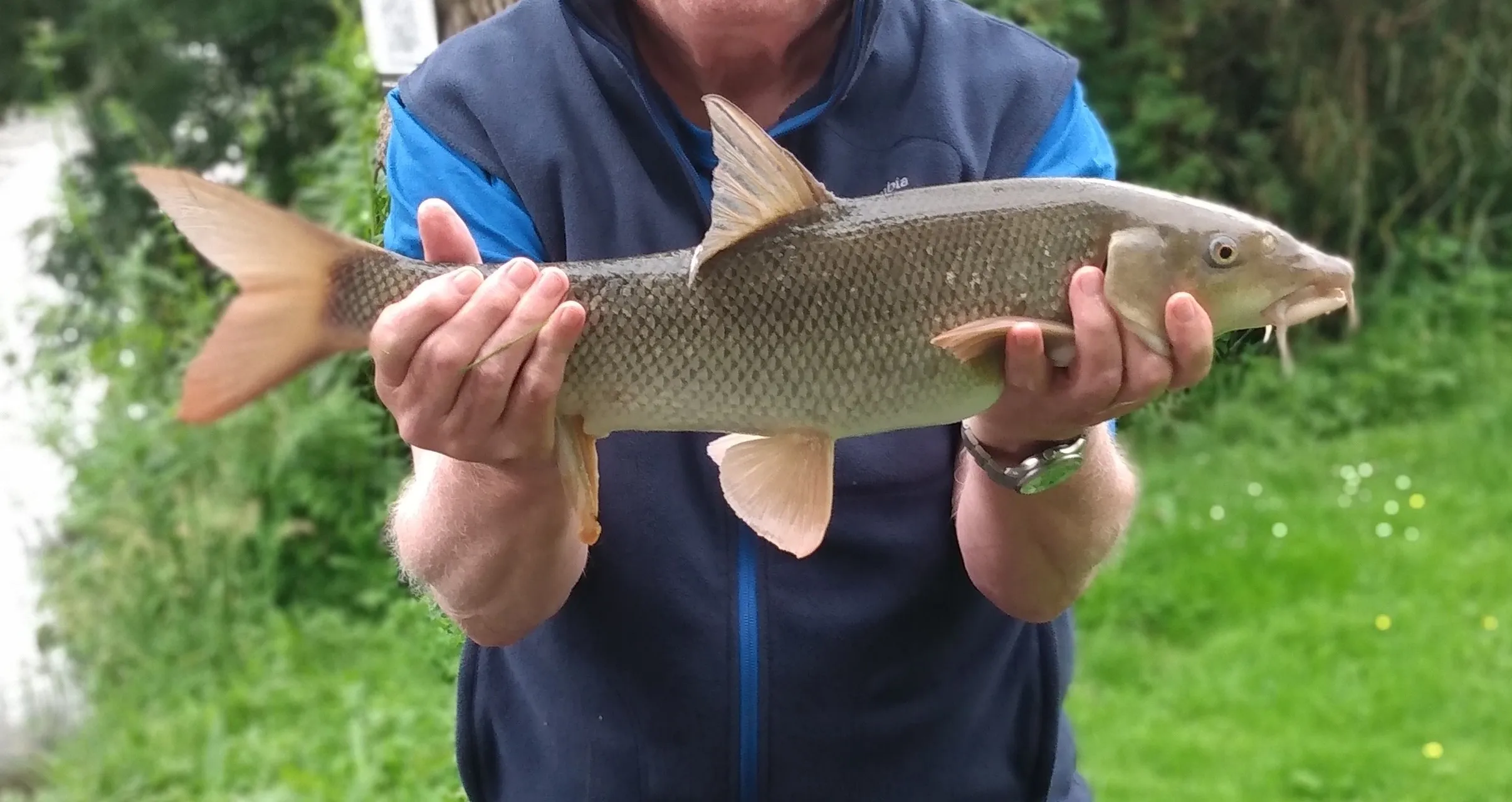 Gîte de pêche au bord de la Dronne à 1h de Bordeaux - côté rivière