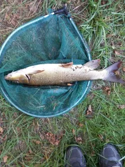 Gîte de pêche au bord de la Dronne à 1h de Bordeaux - côté rivière