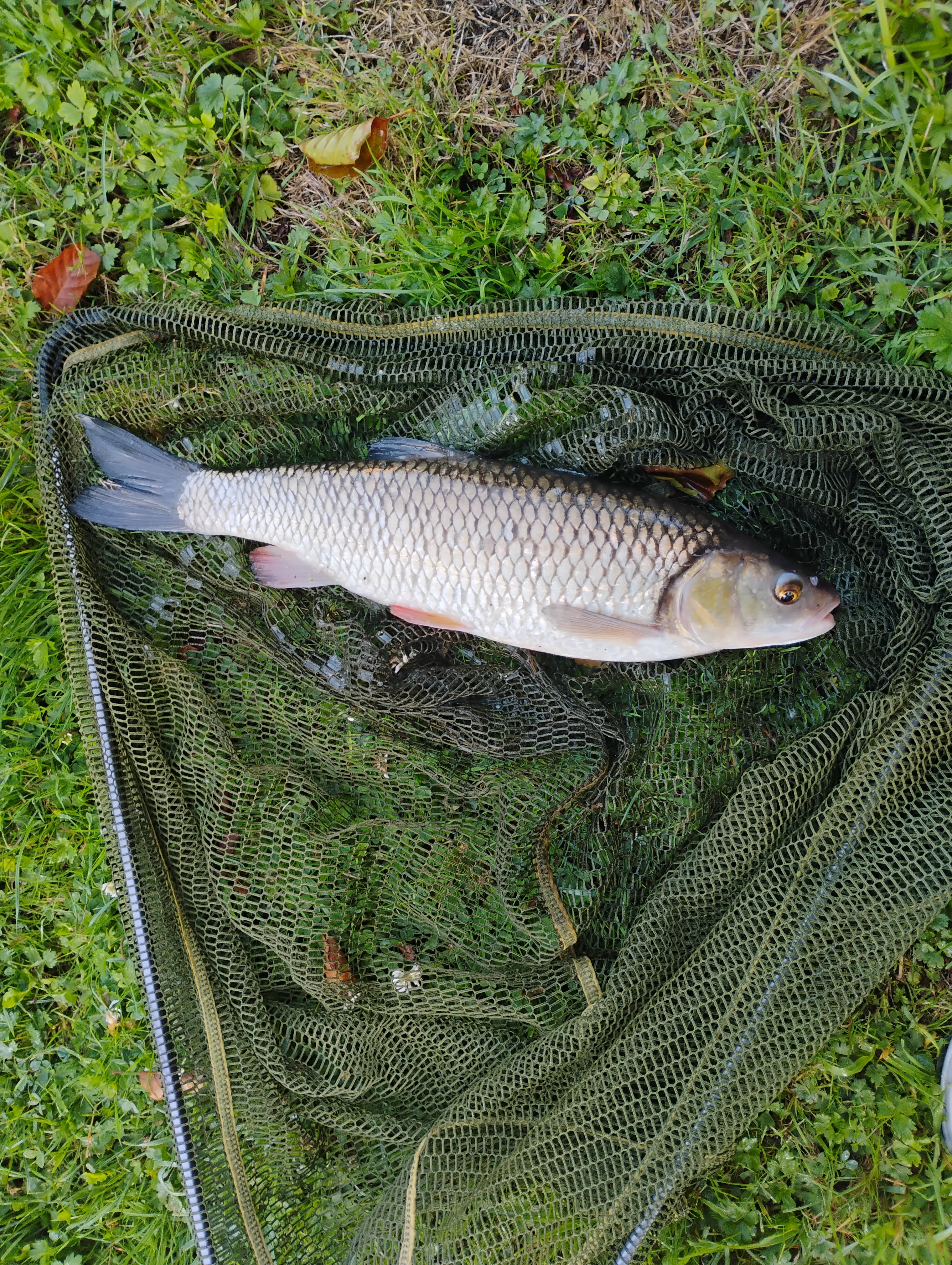 Gîte de pêche au bord de la Dronne à 1h de Bordeaux - côté rivière