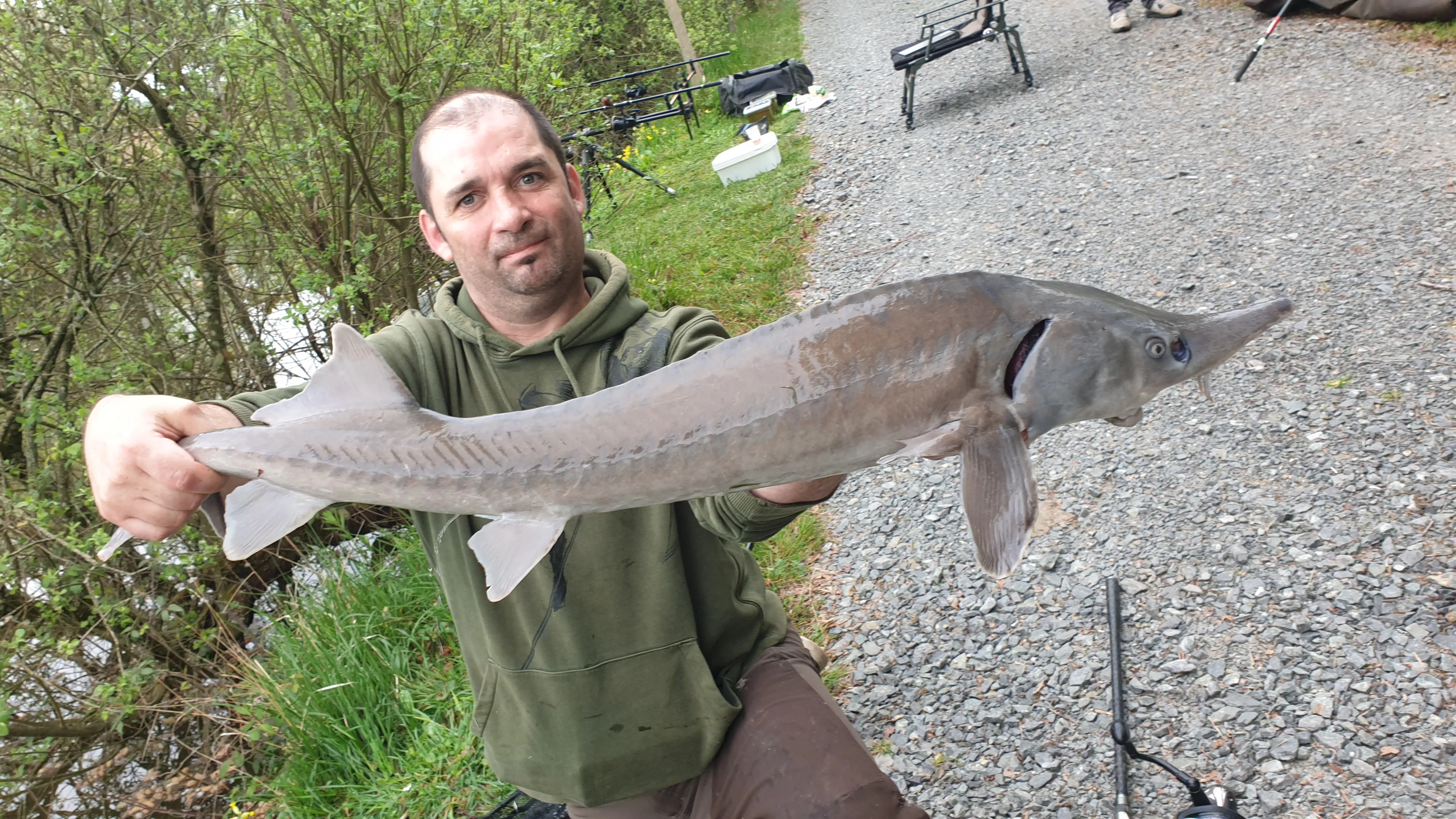 Trois étangs avec son chalet en Nouvelle-Aquitaine