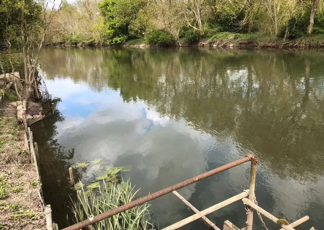 Pêche en eau libre bord de rivière – Camping et cadre naturel
