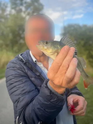 Étang privé de 5 hectares avec gîte – Pêche no kill carnassiers