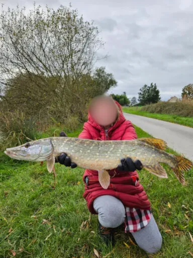 Étang privé de 5 hectares avec gîte – Pêche no kill carnassiers