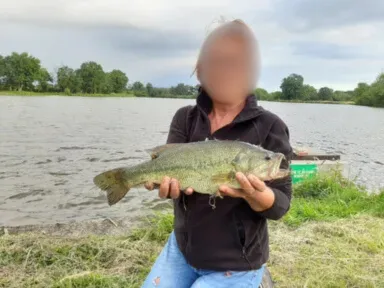 Étang privé de 5 hectares avec gîte – Pêche no kill carnassiers