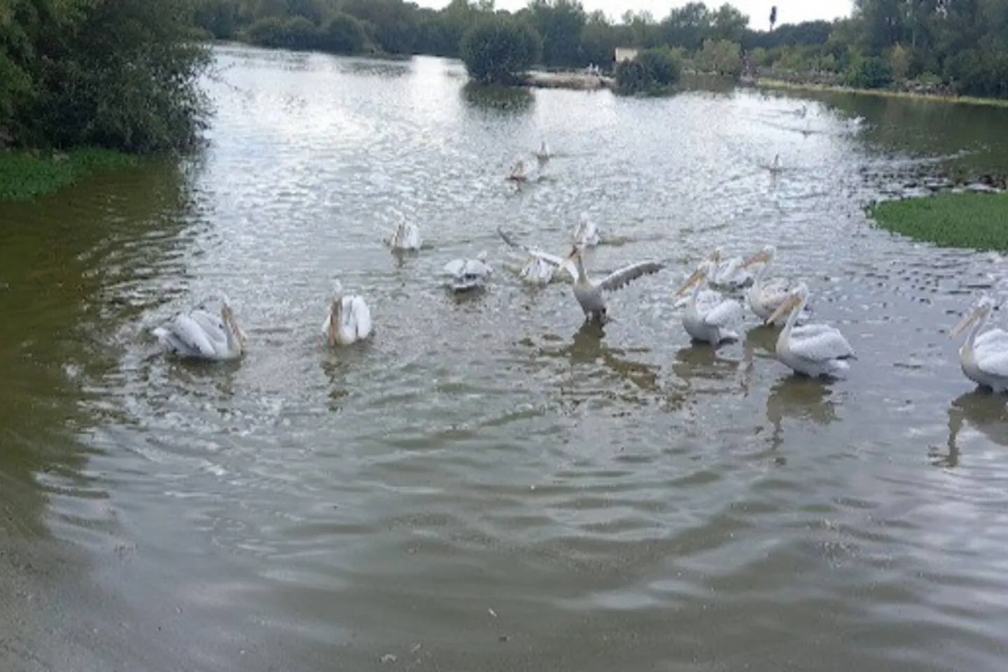 Pêche en bord de rivière à 1h30 de Paris