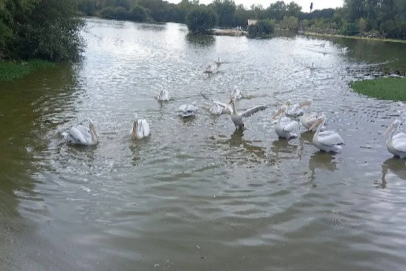 Pêche en bord de rivière à 1h30 de Paris