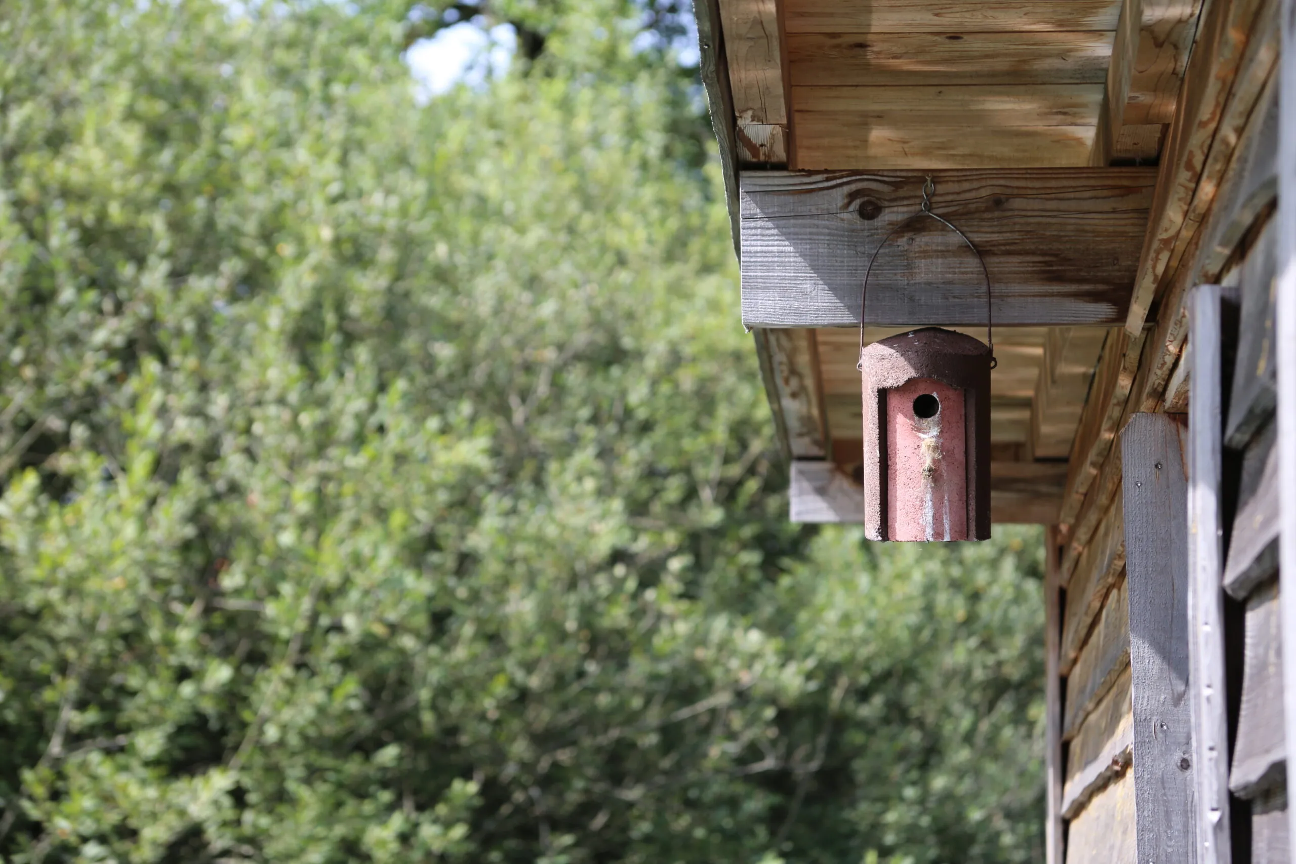 Cottage by the water in Lorraine – Nature, fishing no kill on a pond 6.18 ac