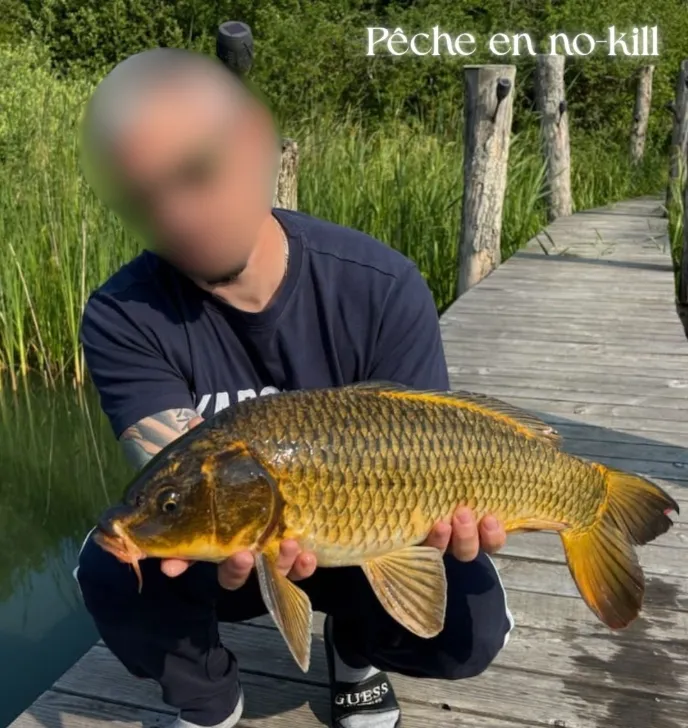 Ponton sur l'eau en Lorraine– Gîte sur étang avec ponton et pêche no kill sur 2.5 hectares