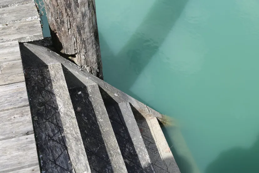 Ponton sur l'eau en Lorraine– Gîte sur étang avec ponton et pêche no kill sur 2.5 hectares