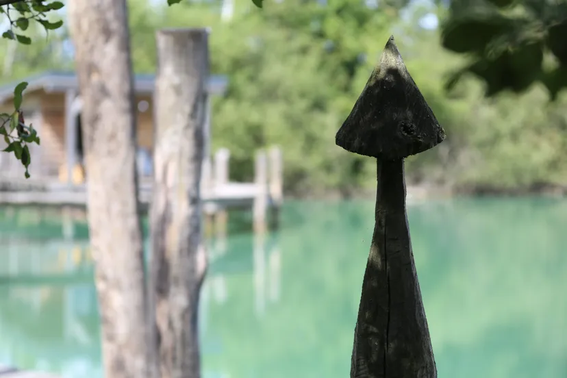 Ponton sur l'eau en Lorraine– Gîte sur étang avec ponton et pêche no kill sur 2.5 hectares