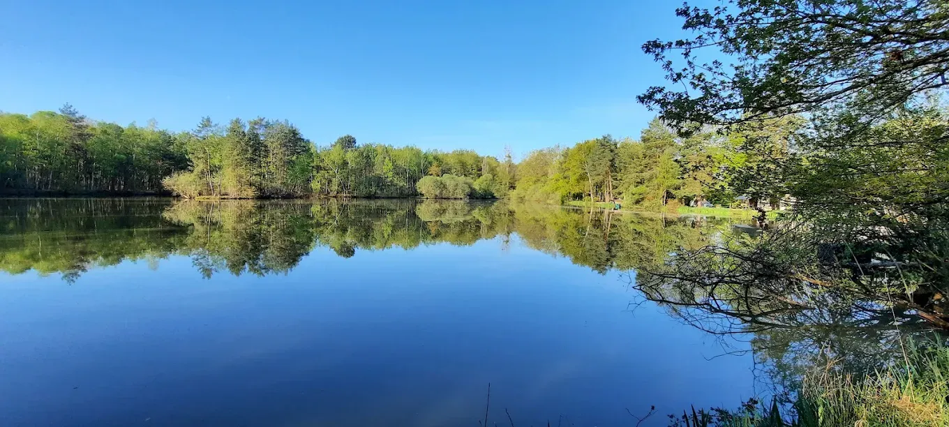 Séjour pêche avec privatisation du domaine, étangs sauvages au cœur de la Sologne (2 h de Paris)