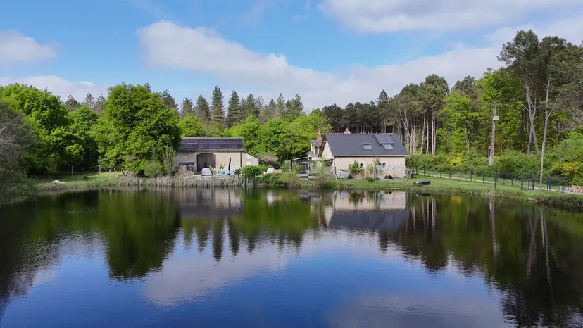 Pêche sur étang sauvage de 3 000 m² et logement en chambre d'hôte à 30 min de Tours