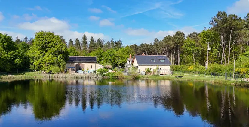Pêche sur étang sauvage de 3 000 m² et logement en chambre d'hôte à 30 min de Tours