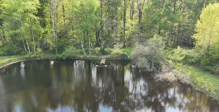 Pêche sur étang sauvage de 3 000 m² et logement en chambre d'hôte à 30 min de Tours