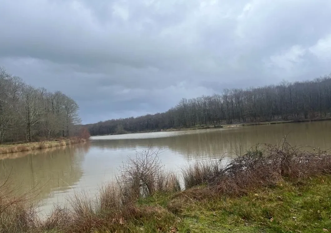 Maison confortable sur une propriété de 80ha avec 4ha d'étang privé