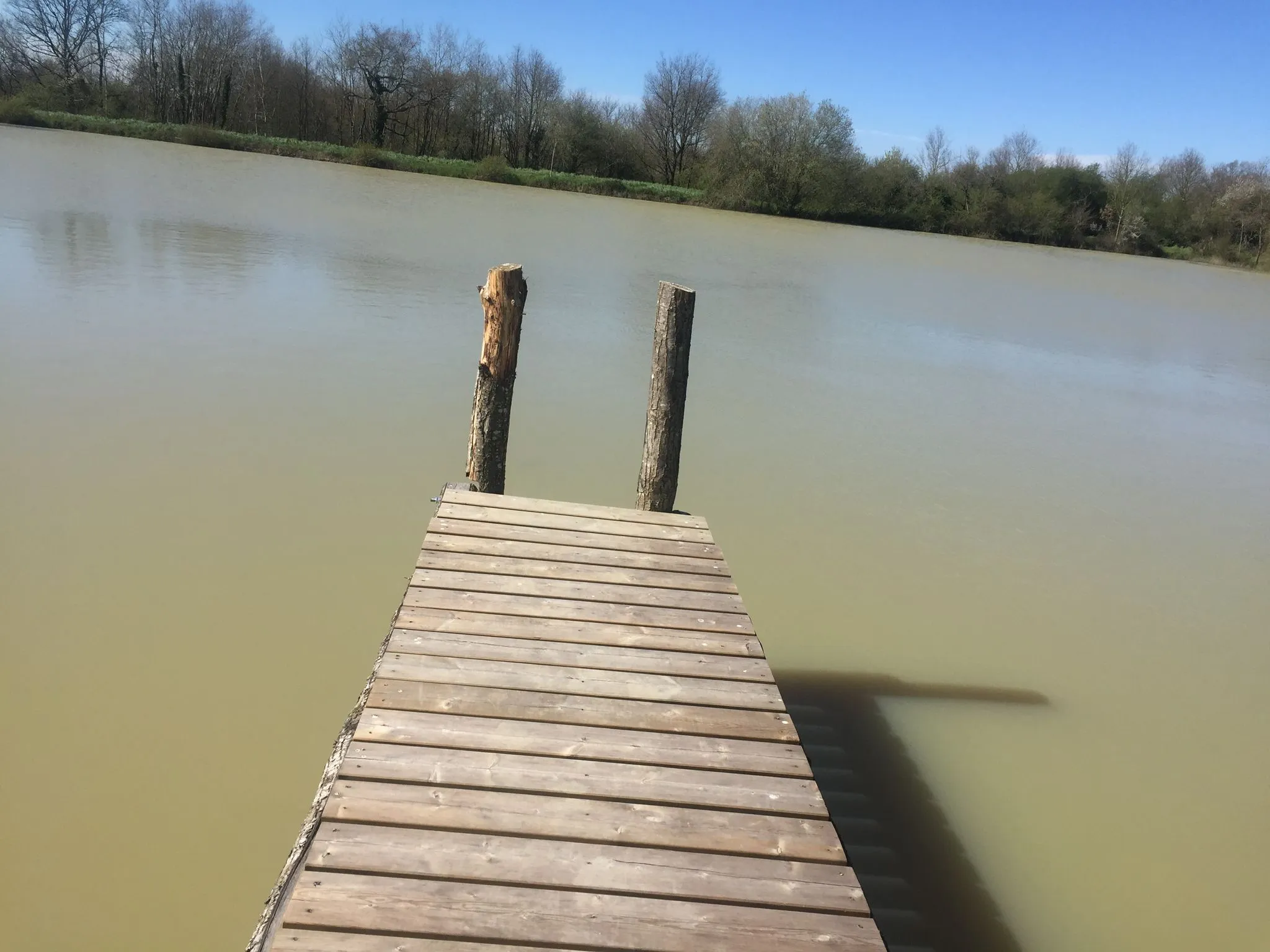 Etang de 0,8ha avec une belle présence de brochets et carpes dans la Vienne