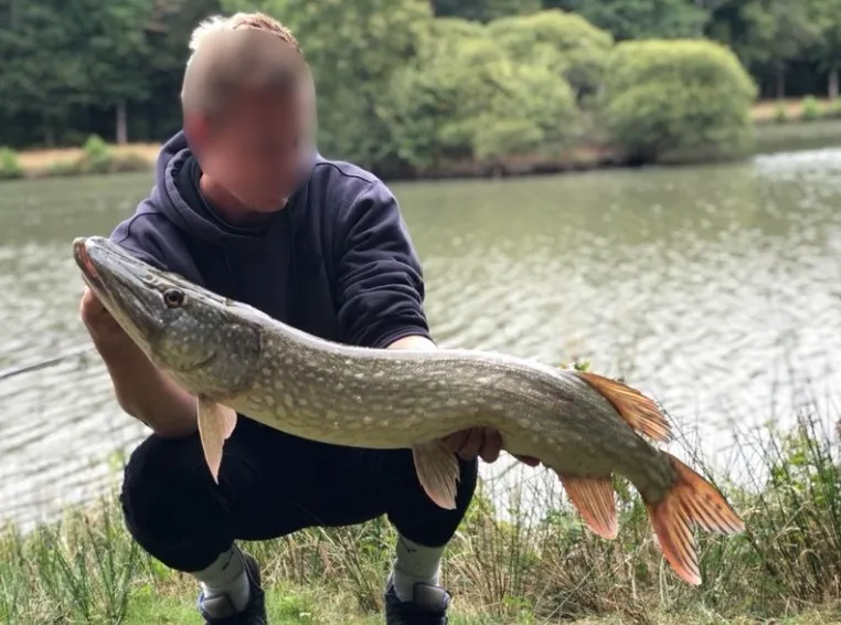 Etang de 0,8ha avec une belle présence de brochets et carpes dans la Vienne
