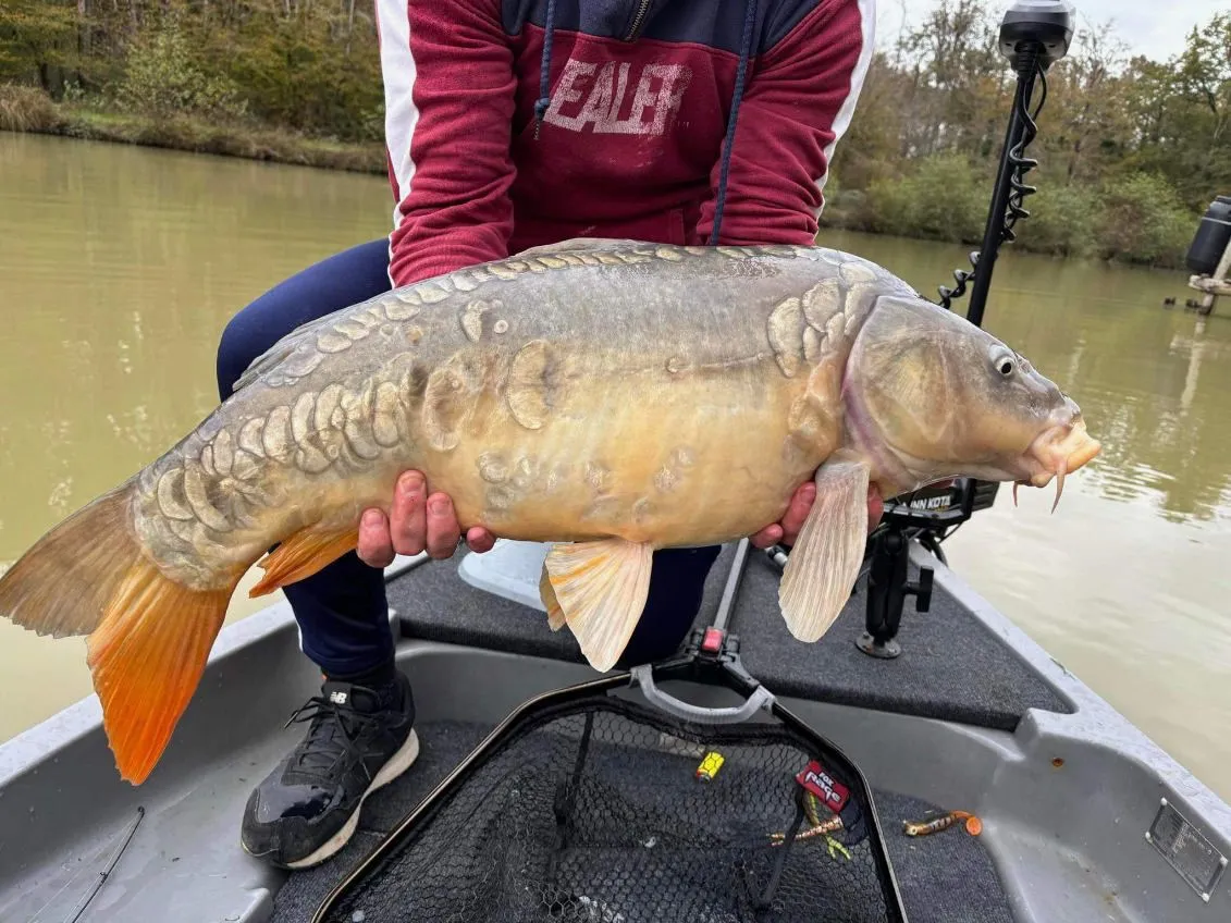 Etang de 0,8ha avec une belle présence de brochets et carpes dans la Vienne
