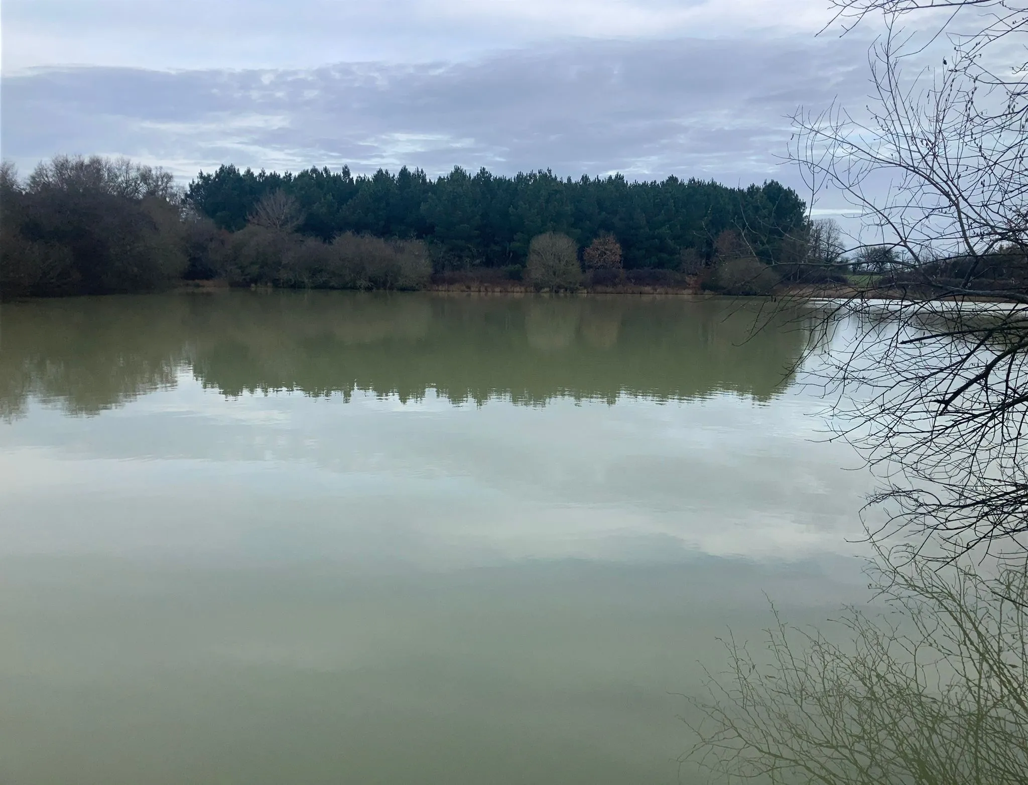 Etang de 0,8ha avec une belle présence de brochets et carpes dans la Vienne