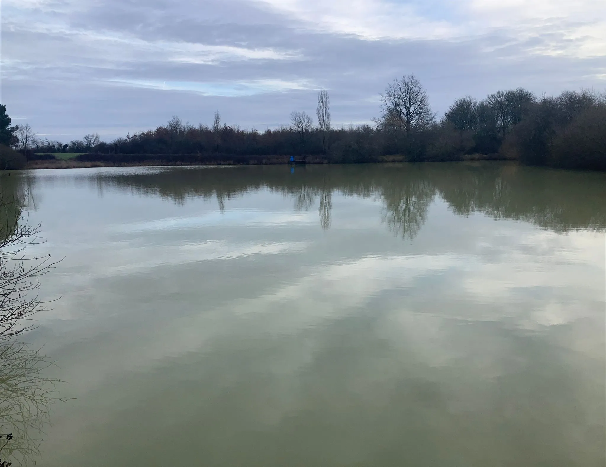 Etang de 0,8ha avec une belle présence de brochets et carpes dans la Vienne