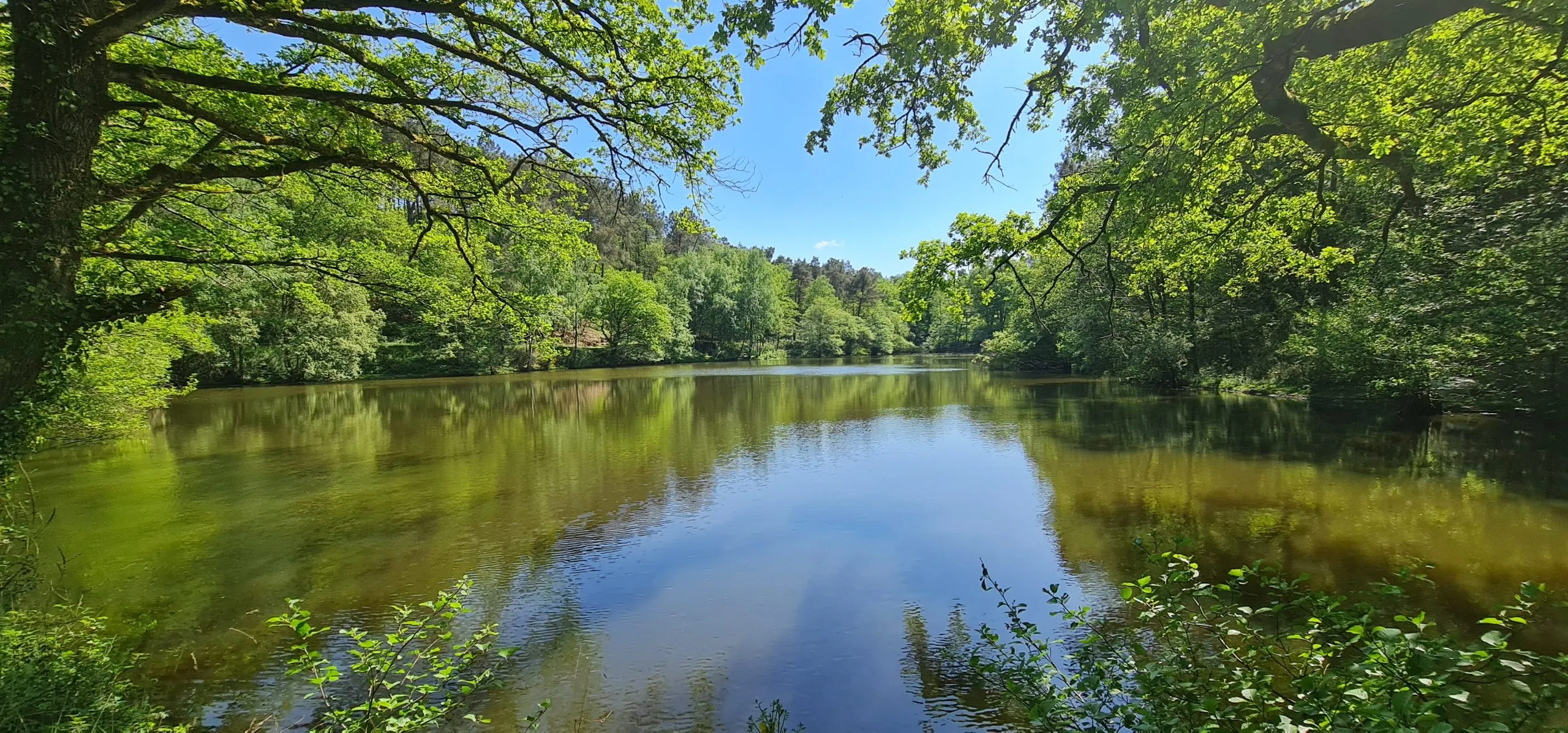 Privatization pond of 2.47 ac in Brittany